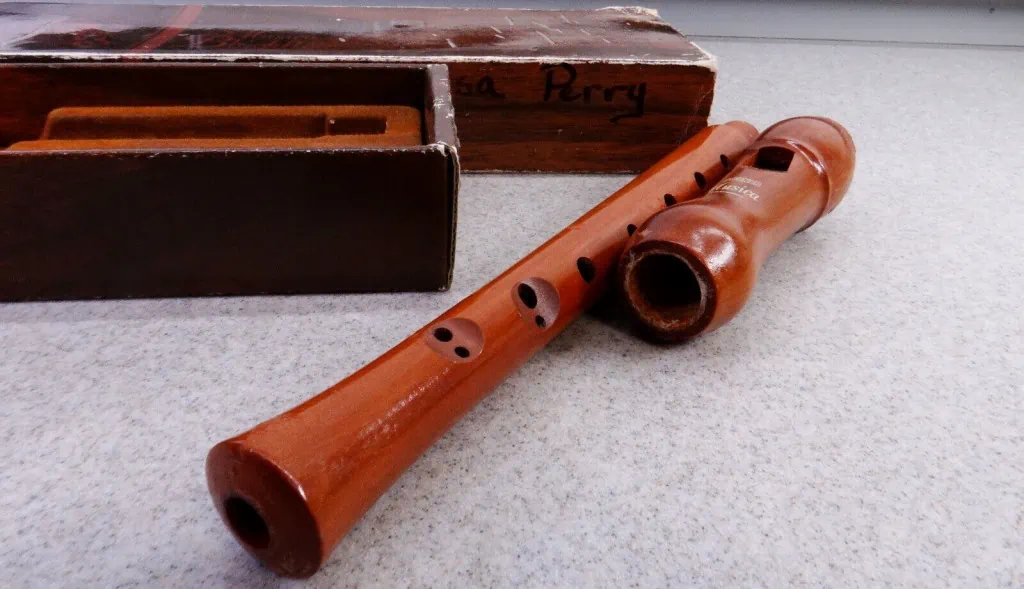 6 Types of Recorders An Overview of this Amazing Instrument!