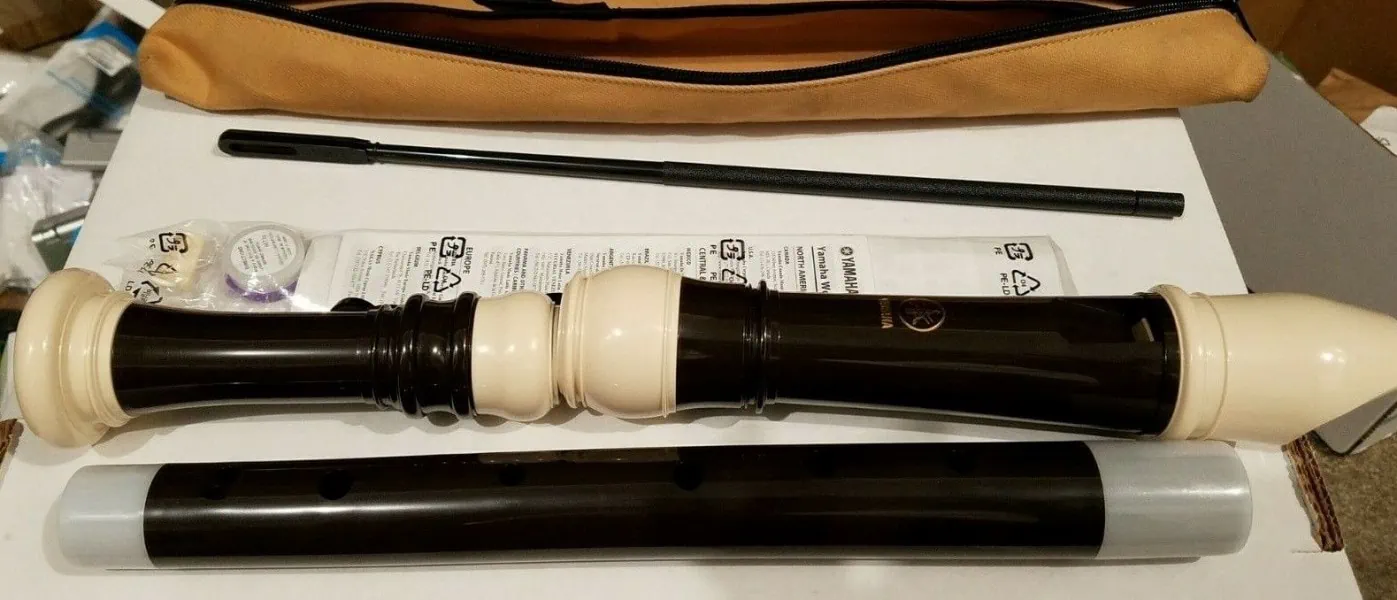 6 Types of Recorders An Overview of this Amazing Instrument!