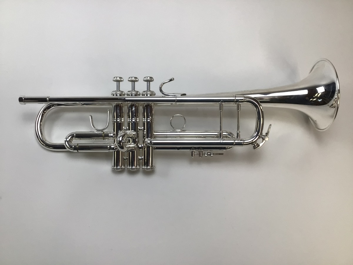 How Much Are Trumpets? Average Cost / 2024 Pricing