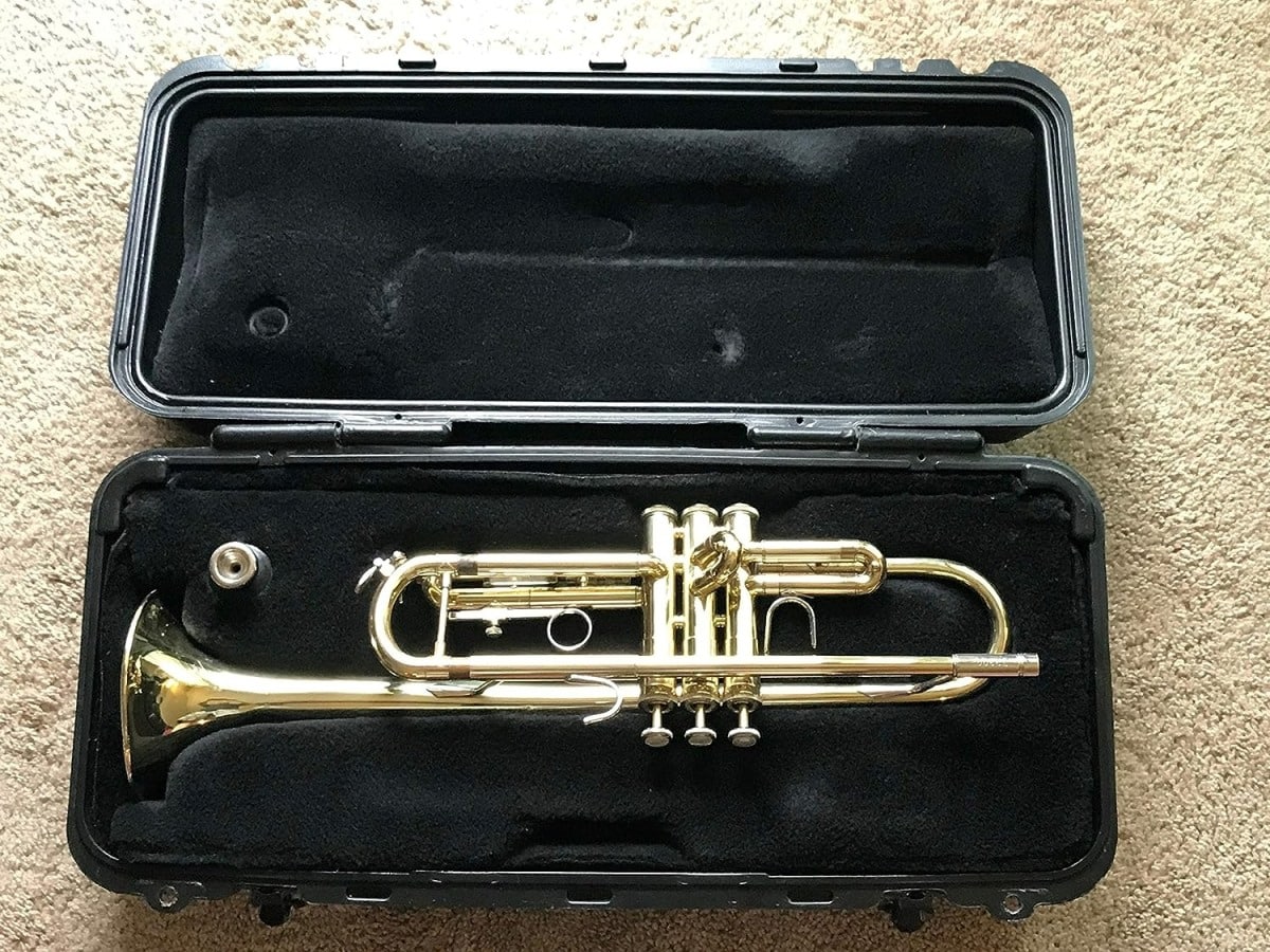 How Much Are Trumpets? Average Cost / 2024 Pricing